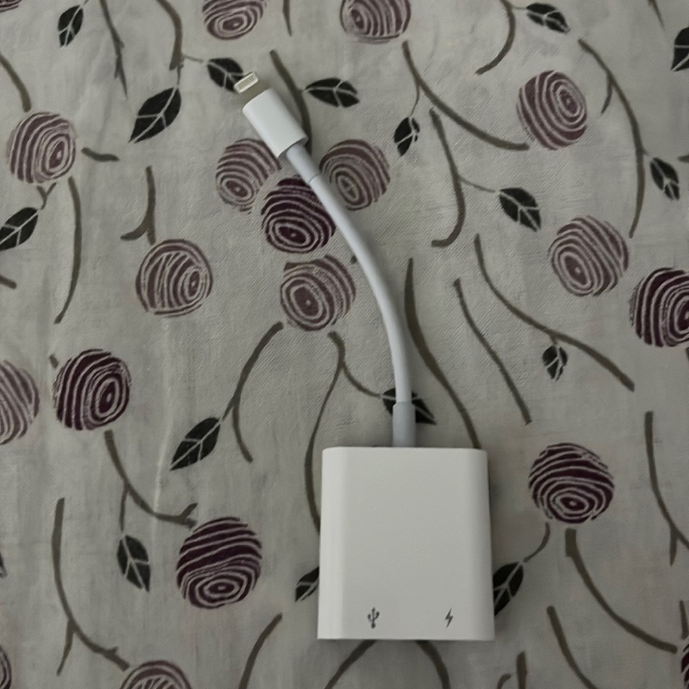 Apple adapter (lighting to USB)